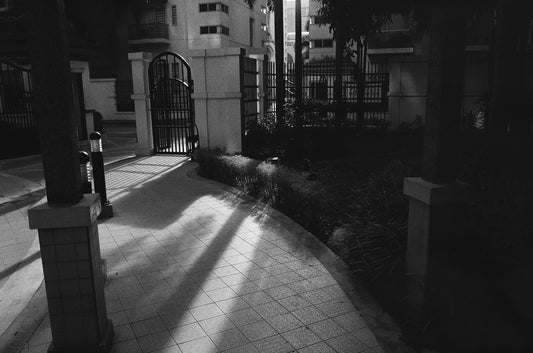 B&W | Dev & Scan (Half-frame)