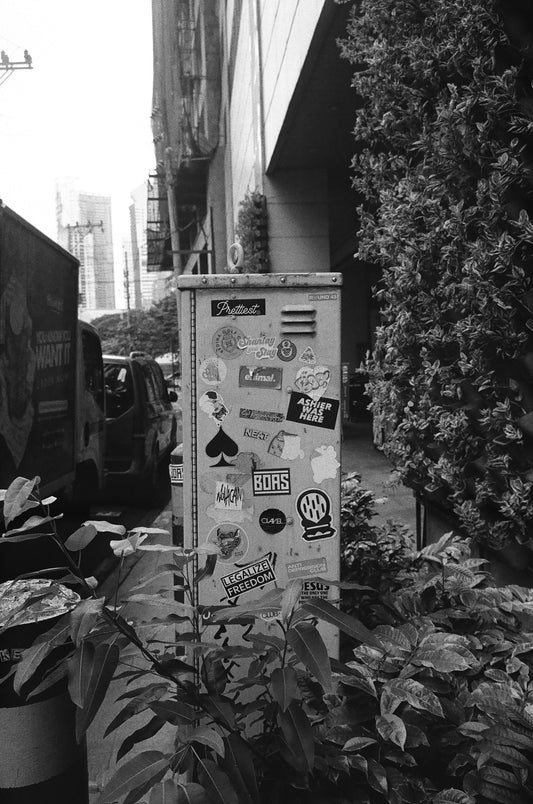 B&W | Dev & Scan